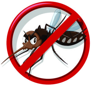 Saiba o que é o Plano de Gerenciamento para Prevenção e Controle de Dengue – PGPCD